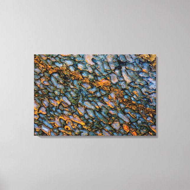 Petrified Dinosaur Bone Canvas Print (Front)