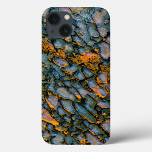 Petrified Dinosaur Bone iPhone 13 Case