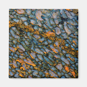 Petrified Dinosaur Bone Magnet