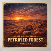 Petrified Forest Arizona Centennial