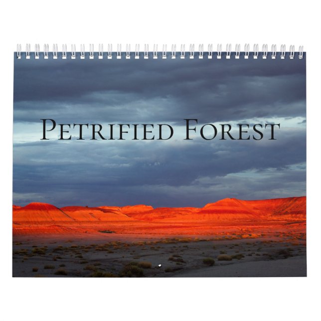 Petrified Forest Calendar (Cover)