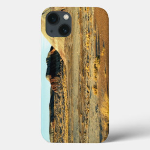 Petrified Forest Desert iPhone 13 Case