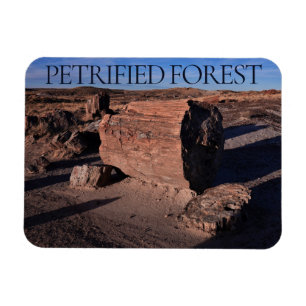 Petrified Forest National Park Magnet