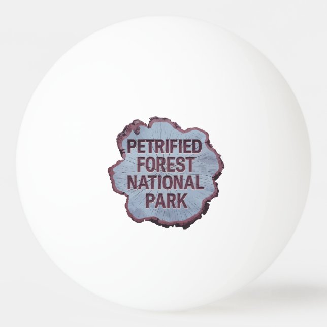 Petrified Forest National Park Tree stump Ping Pong Ball (Front)