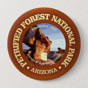 Petrified Forest (NP2) 10 Cm Round Badge