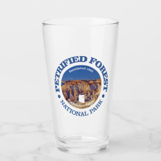 Petrified Forest NP Glass