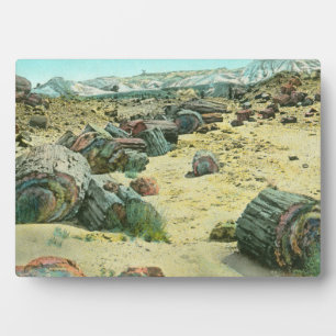 Petrified Forest Plaque