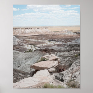 Petrified Forest Print Poster Paper (Semi-Gloss)