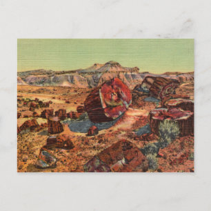 Petrified Forest Vintage Postcard