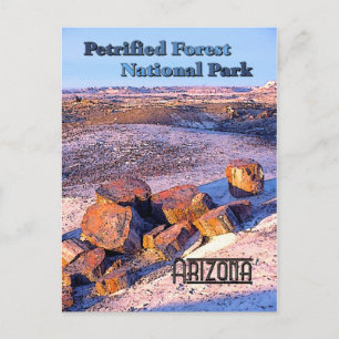 Petrified Forest Vintage Style Postcard
