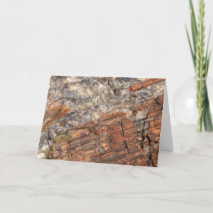 Petrified Log Closeup I Card