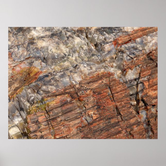 Petrified Log Closeup I Poster (Front)
