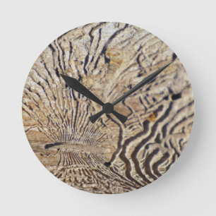 Petrified Round Clock
