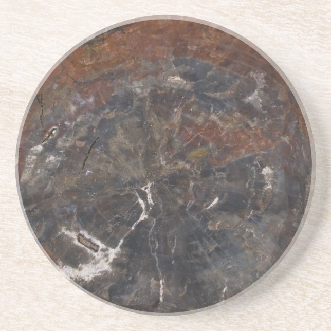 Petrified wood 03 coaster (Front)