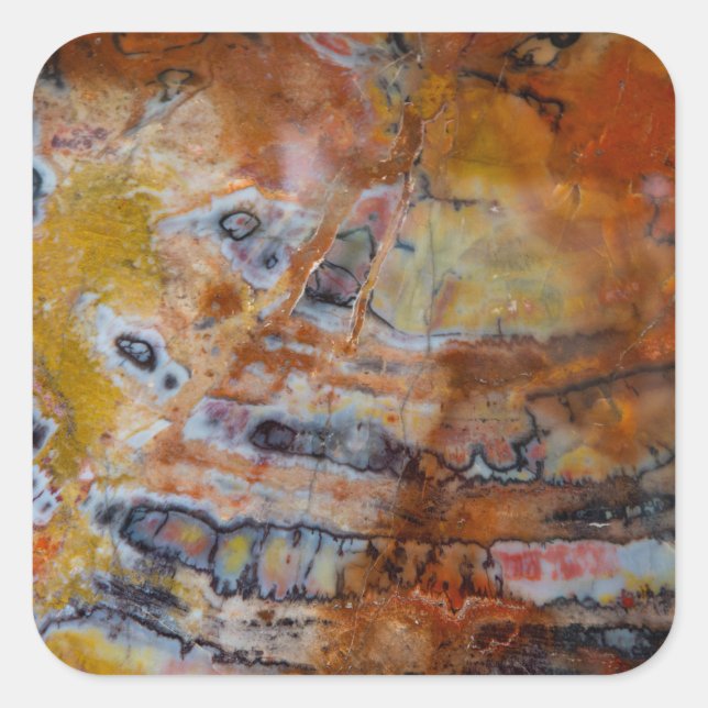 Petrified Wood Brown Square Sticker (Front)