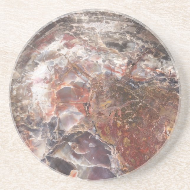 Petrified Wood Coaster (Front)