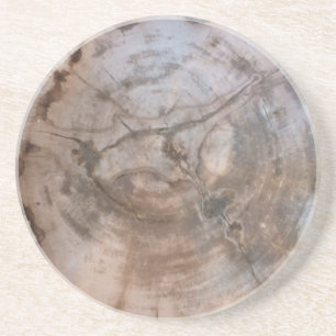 Petrified Wood Coaster