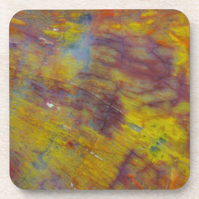 Petrified Wood Coaster (Front)