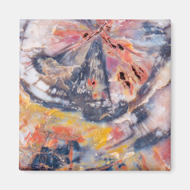 Petrified wood detail, Arizona Magnet (Front)