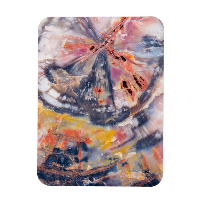 Petrified wood detail, Arizona Magnet (Vertical)