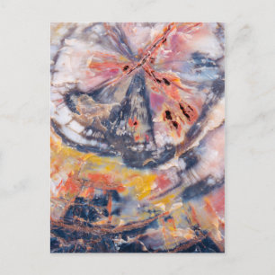 Petrified wood detail, Arizona Postcard