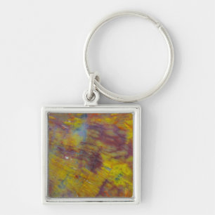 Petrified Wood Key Ring