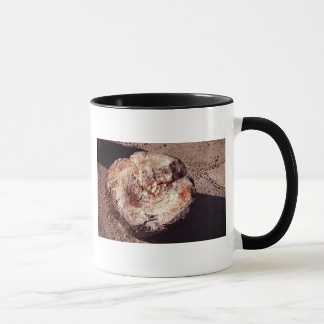 Petrified Wood Log with Shadows Arizona Photo Mug (Right)