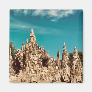 petrified wood park magnet