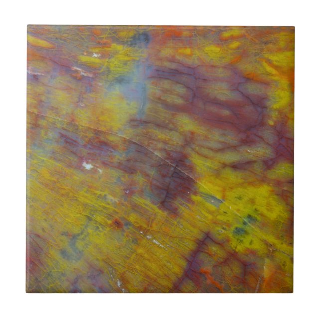 Petrified Wood Tile (Front)