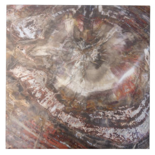 Petrified Wood Tile