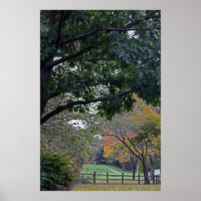 Petrifying Springs Golf Course In Autumn Poster (Front)