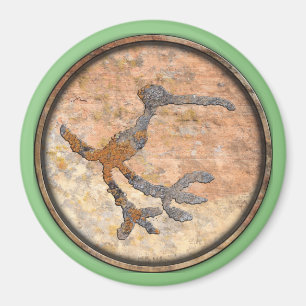 Petroglyph of a Bird Magnet