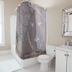 Petroglyph Shower Curtain