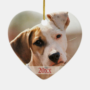 Pet's 1st Christmas Ceramic Tree Decoration