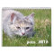 pets 2012 calender
