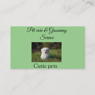 Pets care grooming service add name address text business card