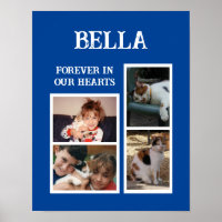 Pets cats 4 photo collage add name blue
