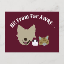 Pets Checking In On You