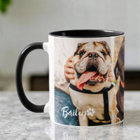 Pet's Cool Modern Simple Paper 3 Photo Template
