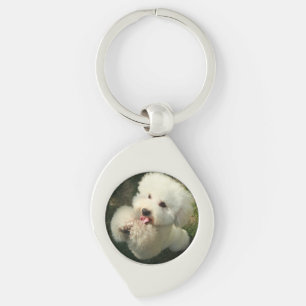 Pets, Dog, Poodle Key Ring