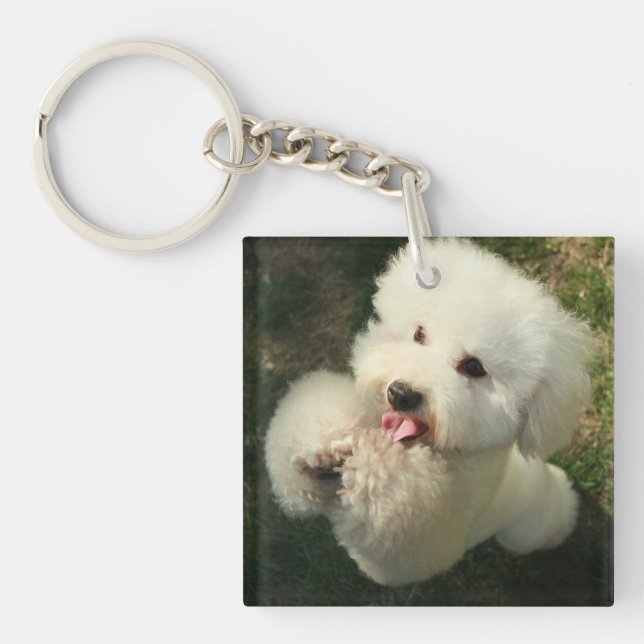 Pets, Dog, Poodle Key Ring (Front)