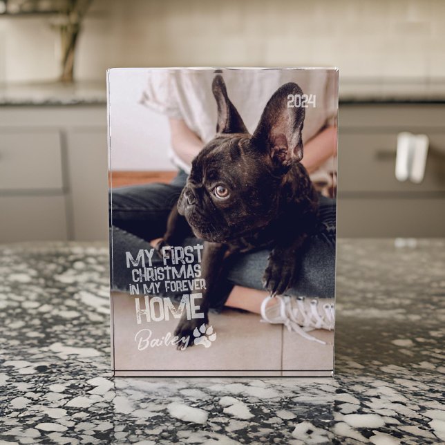 Pet's First Christmas Forever Home Modern Grunge Photo Block (Creator Uploaded)