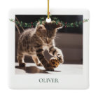 Pet's First Christmas in Forever Home Name & Date