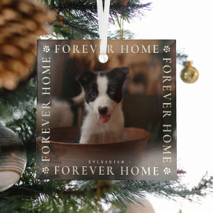 Pets Forever Home Photo Typography Keepsake Glass Tree Decoration