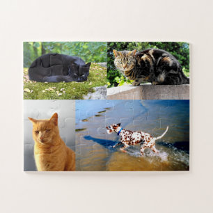 Pets Jigsaw Puzzle