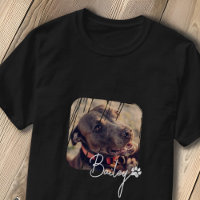 Pet's Modern Simple Cool Grunge Name and Photo