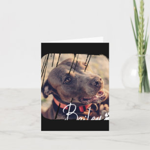 Pets Modern Simple Cool Nge Name And Photo  Card
