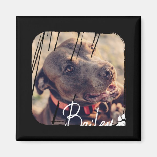 Pets Modern Simple Cool Nge Name And Photo  Magnet (Front)