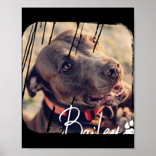 Pets Modern Simple Cool Nge Name And Photo Poster