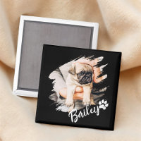 Pet's Modern Simple Cool Typography Name and Photo